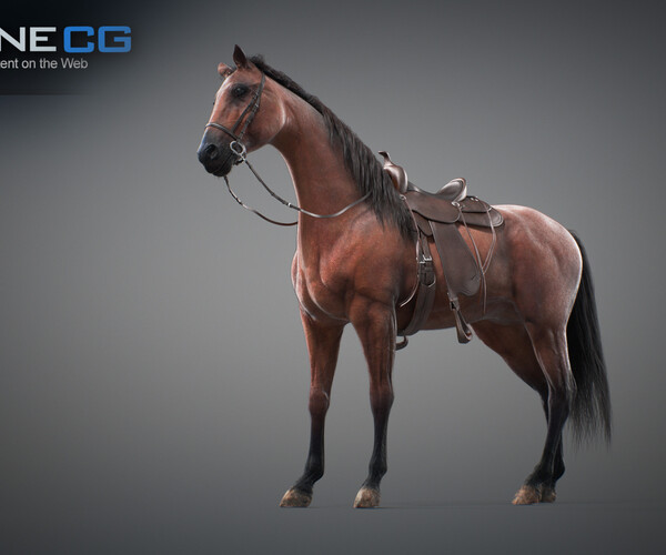 product thumbnail 27