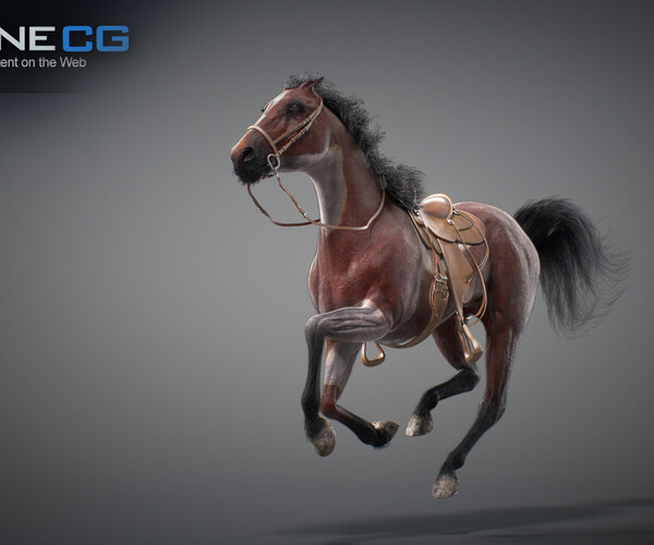 product thumbnail 46