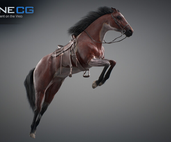 product thumbnail 56