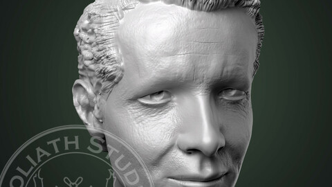 Ryan Reynolds like head sculpture