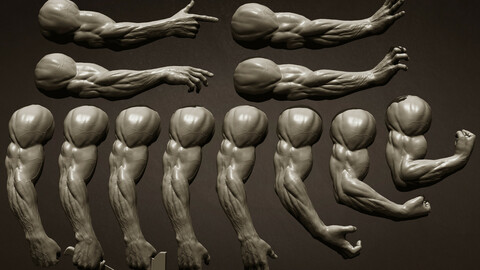 12 male arms poses