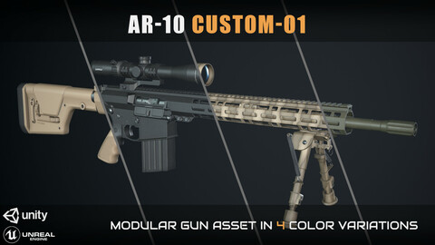 AR-10 Custom-01