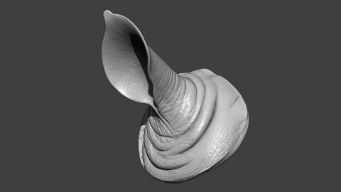 Rhino Ear Highpoly Sculpt