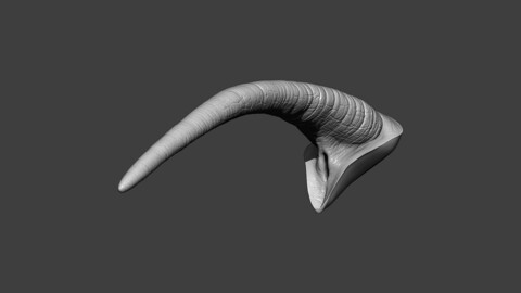 Rhino Tail Highpoly Sculpt