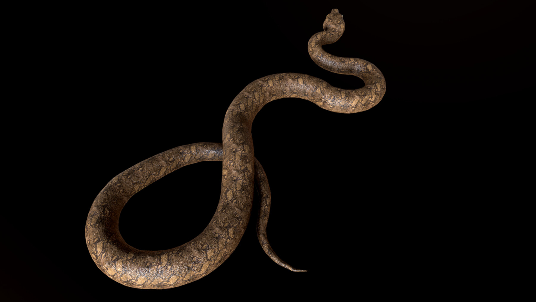 ArtStation - 3D Snake