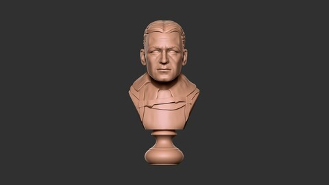 Ernest Shackleton Bust - 3D Print Model