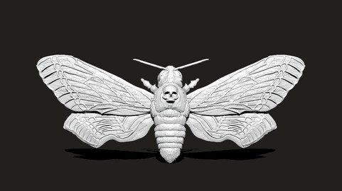 Death Head Hawk Moth Skull Fantasy Creature