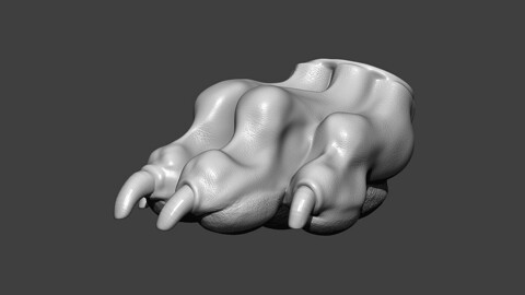 Dog Paw Highpoly Sculpt
