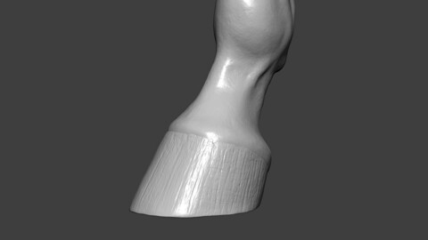 Horse Hoof Highpoly Sculpt