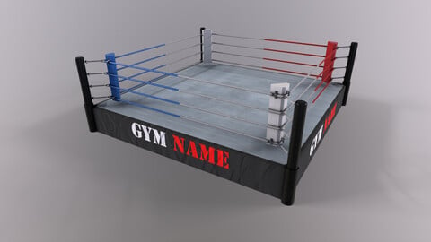 PBR Boxing Ring - Type A