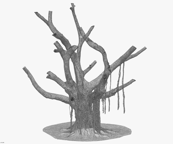 product thumbnail 24