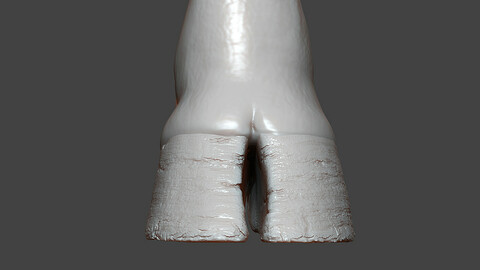 Bull Hoof Highpoly Sculpt