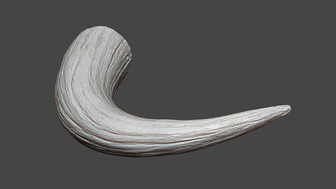 Bull Horn Highpoly Sculpt