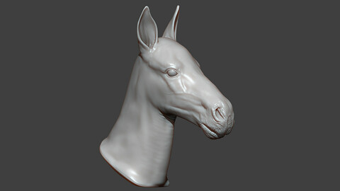 Horse Foal Head Highpoly Sculpt