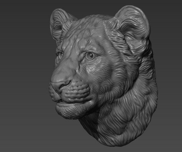 ArtStation - Lion cub head | Resources