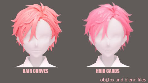 Anime Boy Hairstyle (obj,fbx,blend files)