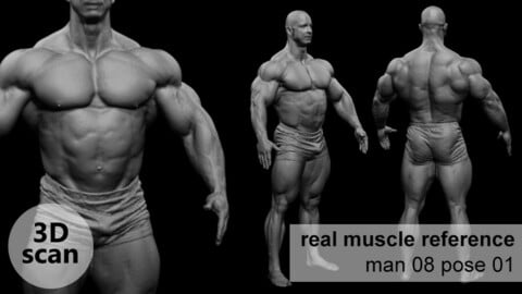 3D scan real extreme muscleanatomy Man08 pose 01