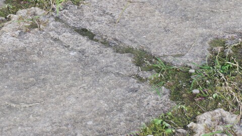 Old Path 1 PBR Material