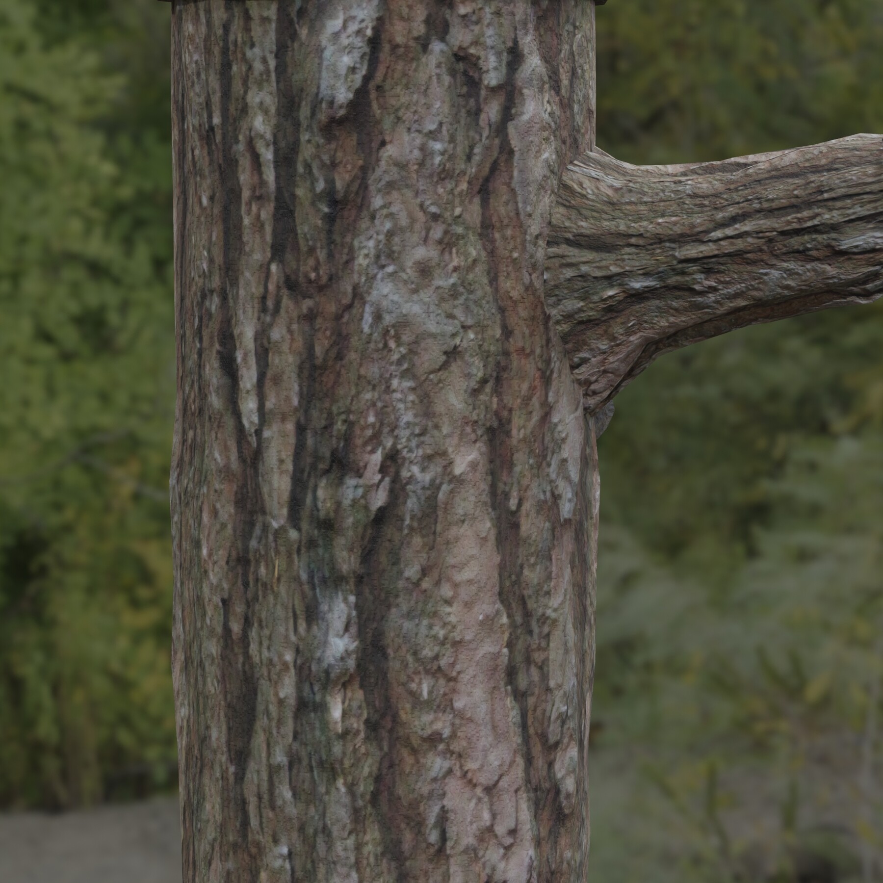 ArtStation Tree Bark 31 PBR Material Game Assets