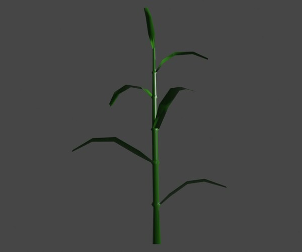 ArtStation - Corn - Plant - Milho - Planta Low-poly 3D model | Game Assets