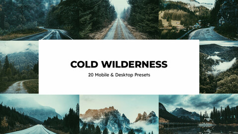 20 Cold Wilderness LUTs and Lightroom Presets