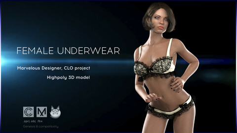 Female Lace Underwear. Marvelous Designer, Clo3d project. OBJ.FBX files