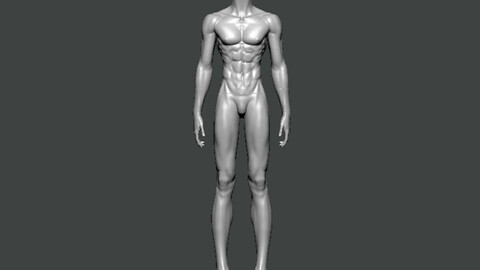 3D Model-ANATOMY0003