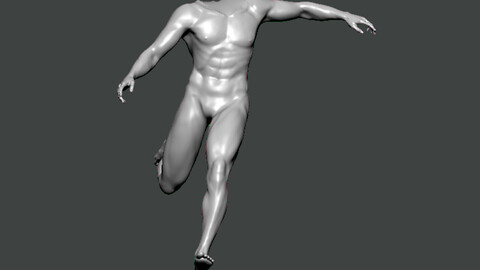 3D Model-ANATOMY0005