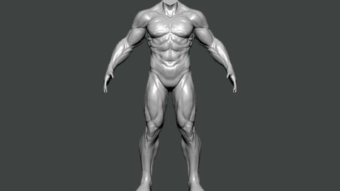 3D Model-ANATOMY0007