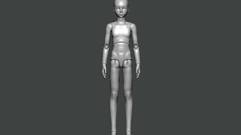 3D Model-ANATOMY0008