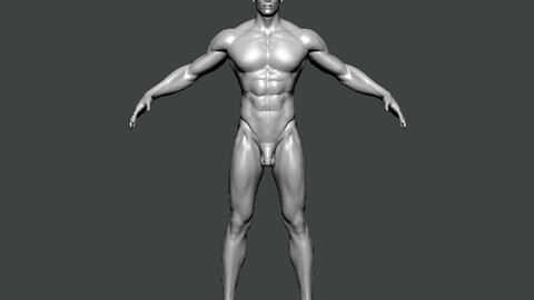 3D Model-ANATOMY0009