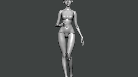3D Model-ANATOMY0022