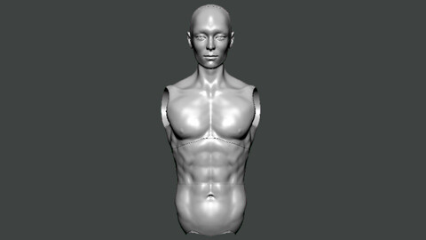 3D Model-ANATOMY0028