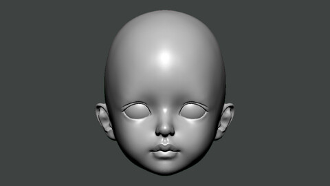 3D Model-ANATOMY0029