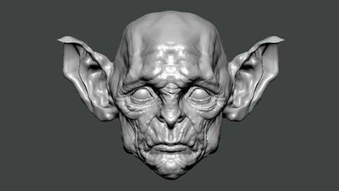 3D Model-ANATOMY0032