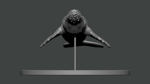 3D Model-ANIMAL Humpback Whale