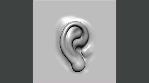 3D Model-EAR0001