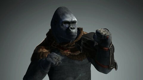 Warrior gorilla