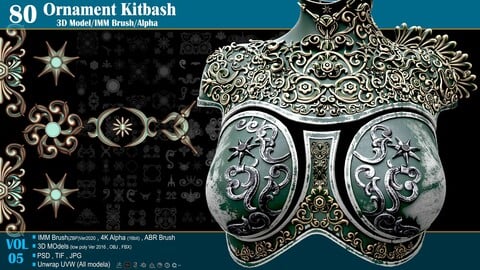 80 Ornament Kitbash 3D Model/IMM Brush/Alpha VOL05