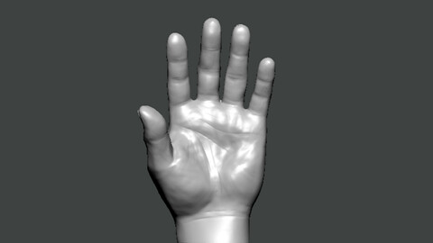 3D Model-HAND0001