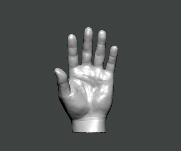 ArtStation - 3D Model-HAND0001 | Resources