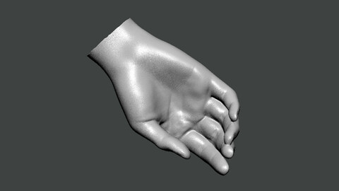 3D Model-HAND0002