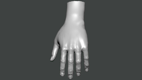 3D Model-HAND0003