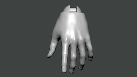 3D Model-HAND0005