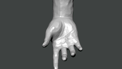 3D Model-HAND0008