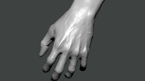 3D Model-HAND0009