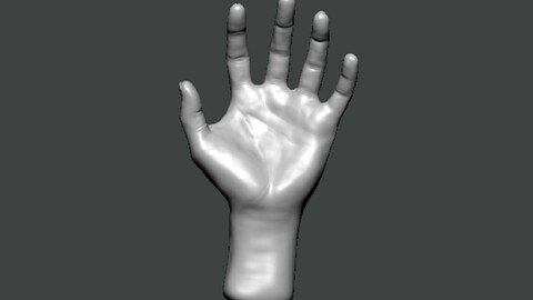 3D Model-HAND0010