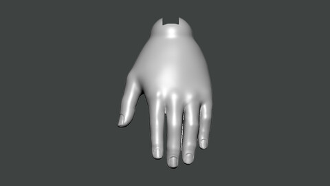 3D Model-HAND0012