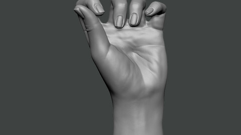 3D Model-HAND0014