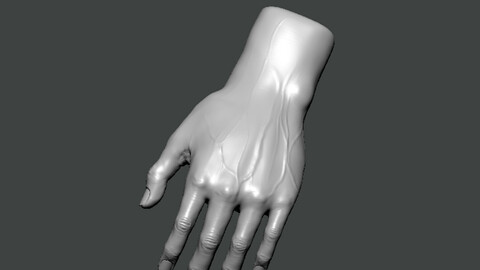 3D Model-HAND0016